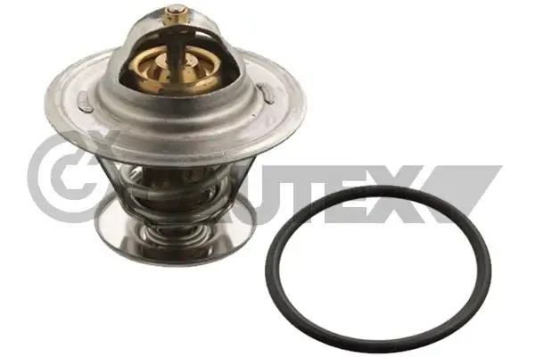 Termostato 756866 Cautex