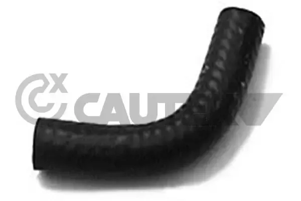  166064 Cautex