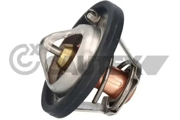Termostato 756865 Cautex