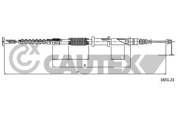 017999 Cautex