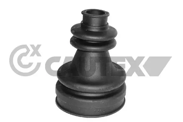 080111 Cautex