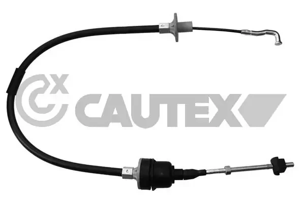 481158 Cautex