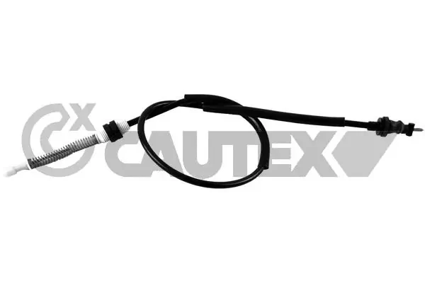 019000 Cautex