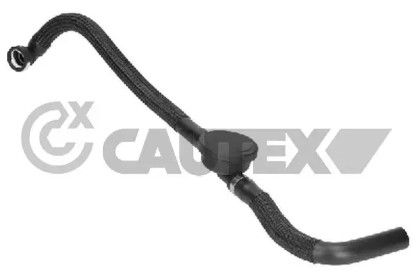 764860 Cautex