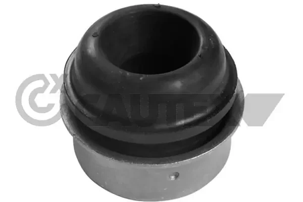 482511 Cautex