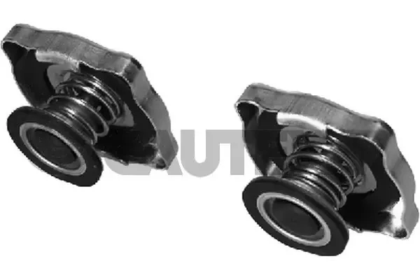 Tapa radiador 954076 Cautex