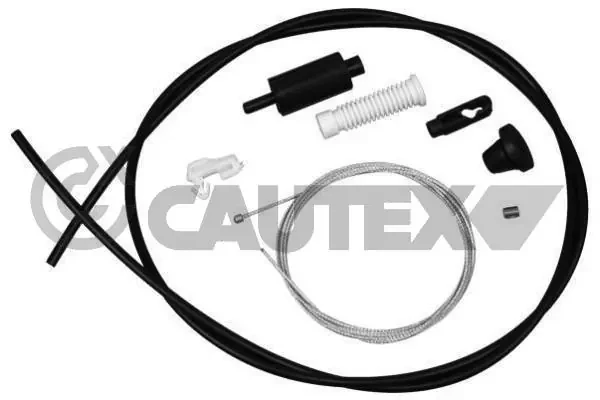 031402 Cautex
