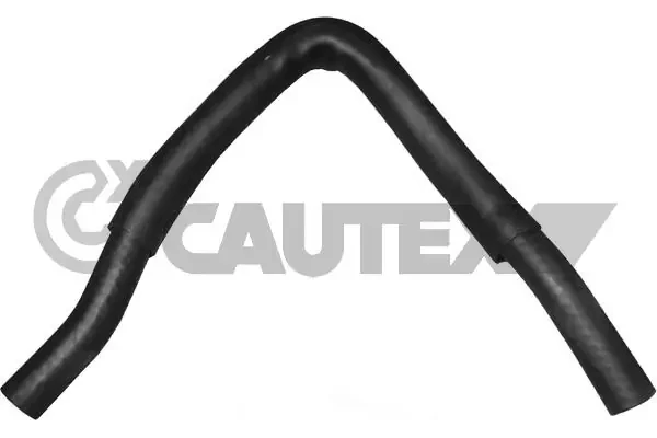 036366 Cautex