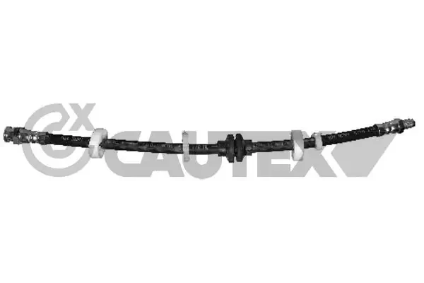 010045 Cautex