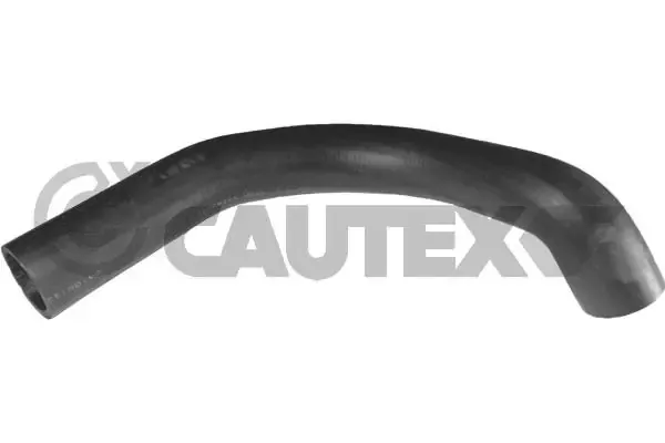  106039 Cautex