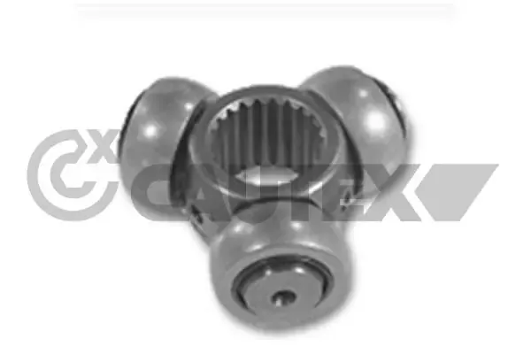 020701 Cautex