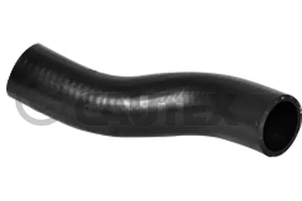 754199 Cautex