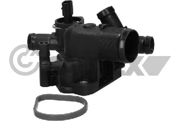 Caja de termostato 750847 Cautex