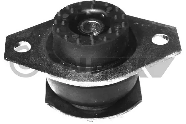 Soporte de motor, Izquierda / Derecha 220620 Cautex