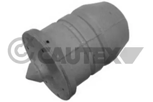 756947 Cautex