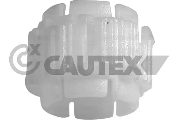  030311 Cautex