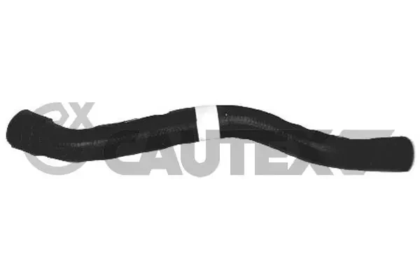 486082 Cautex