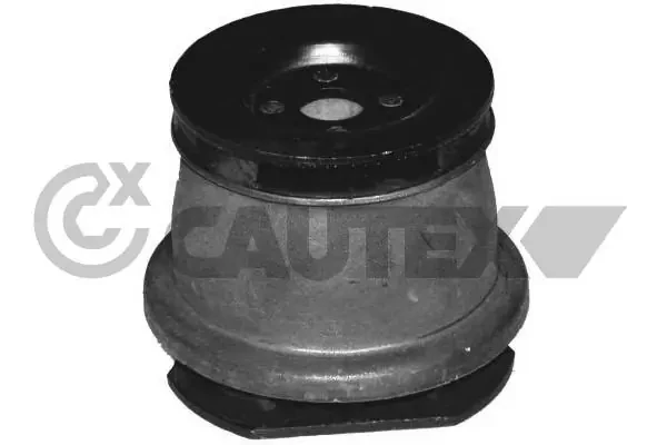 755400 Cautex