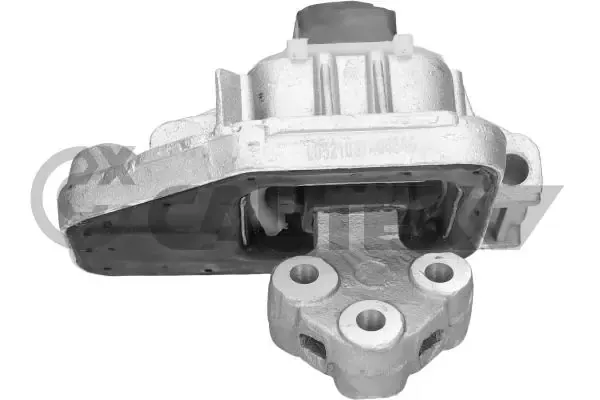 Soporte delantero derecho del motor 756006 Cautex