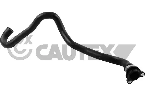 753935 Cautex