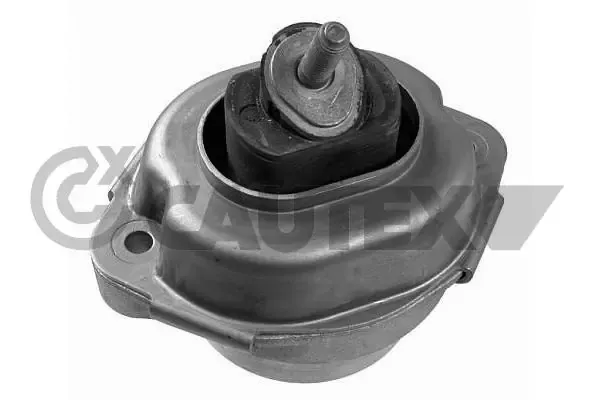 Soporte de motor, Izquierda / Derecha 201643 Cautex