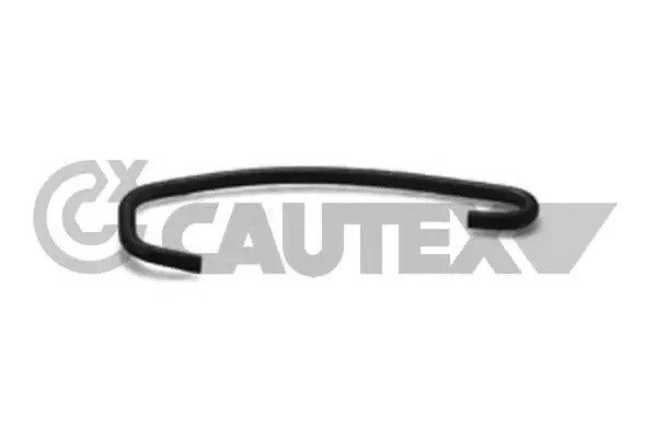  025095 Cautex