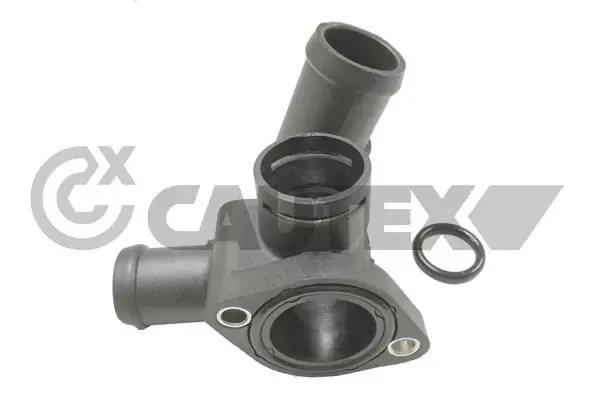  952130 Cautex