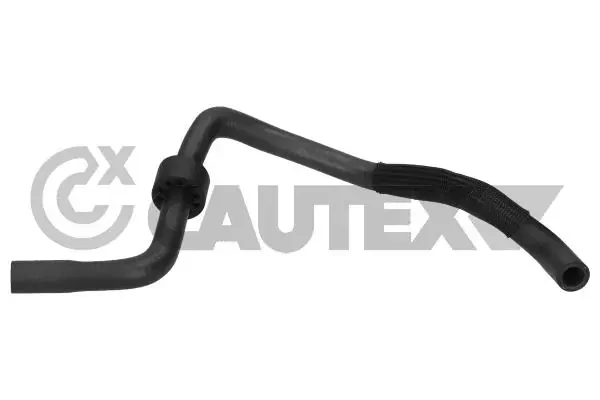 770456 Cautex