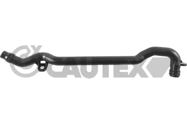 765559 Cautex
