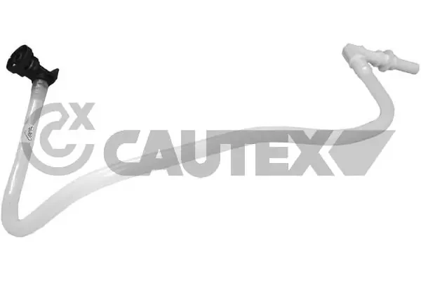 757161 Cautex