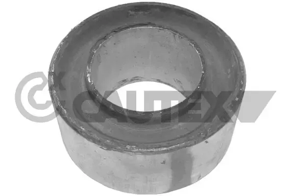 Buje del brazo inferior trasero 020121 Cautex