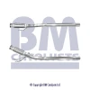 BM50319 BM Catalysts