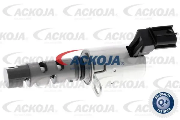 Válvula control, ajuste de levas Toyota Corolla E12