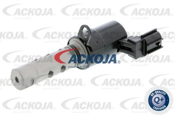 A520376 Ackojap