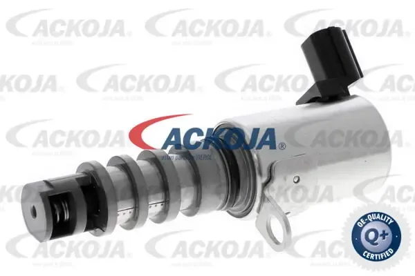 Válvula de control del árbol de levas A260229 Ackojap