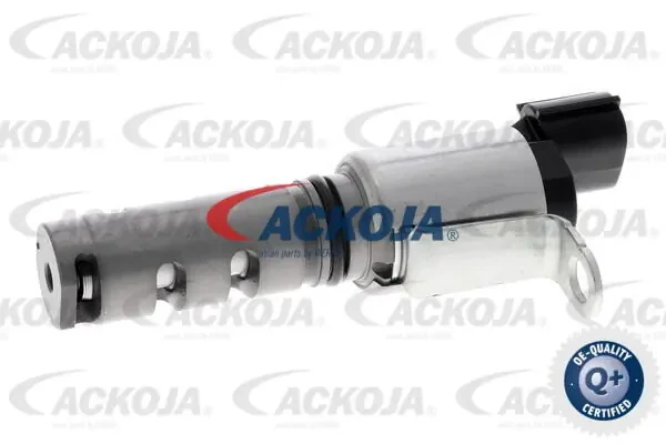 A700613 Ackojap