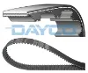 94736 Dayco