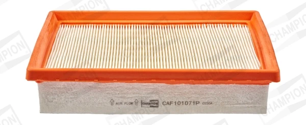 CAF101071P Champion