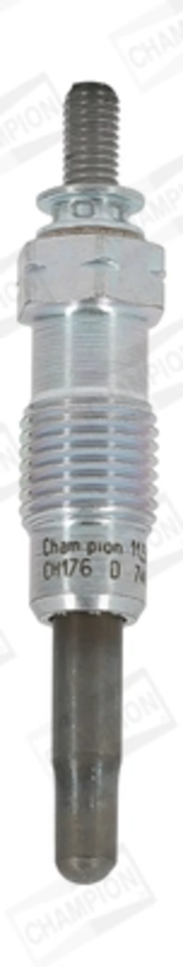 CH176 Champion