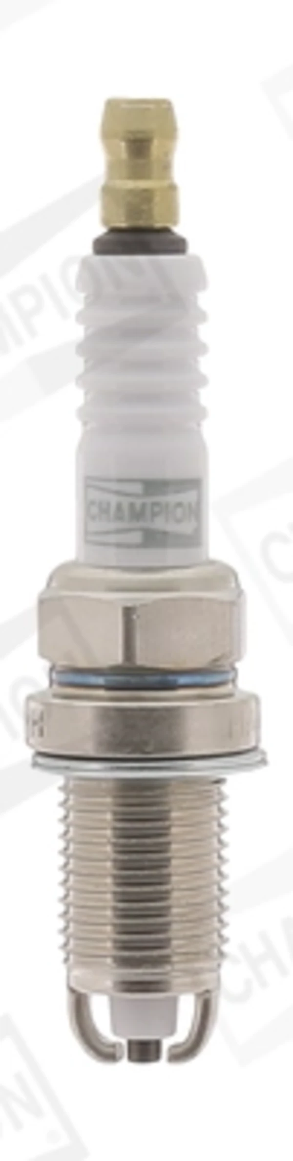 OE216 Champion