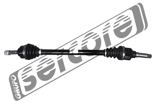22473 Sercore