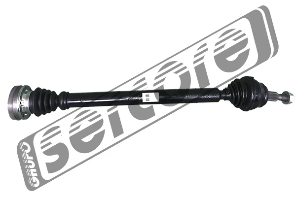22341 Sercore