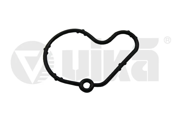 Junta, bomba de vacío Audi A3 (8L1)