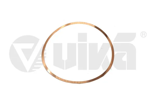 Junta anular, camisa cilindro 11030167601 Vika