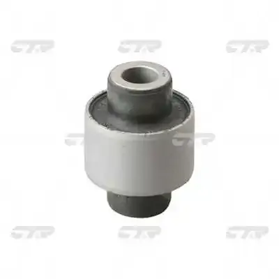 Buje de mangueta trasera GV0097 CTR
