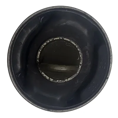 Buje del brazo longitudinal trasero CTR GV0654