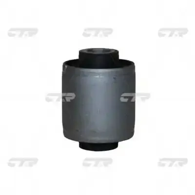 Buje de mangueta trasera GV0335 CTR