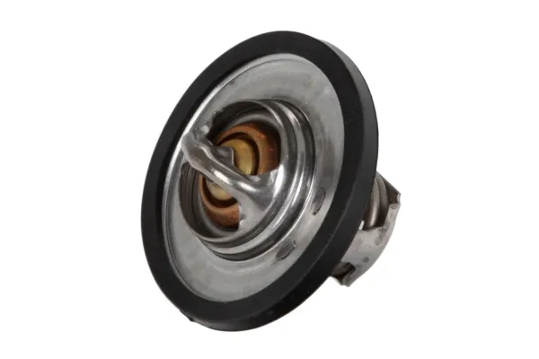 Termostato 28020040032 Continental/Siemens