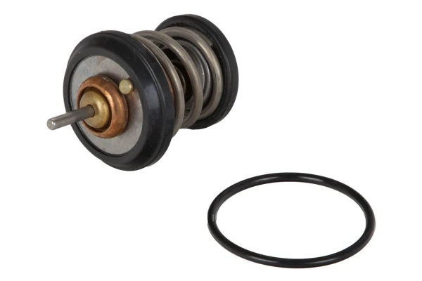 28020041112 Continental/Siemens termostato, refrigerante