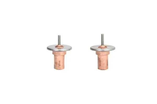 Termostato D2W001TT Thermotec